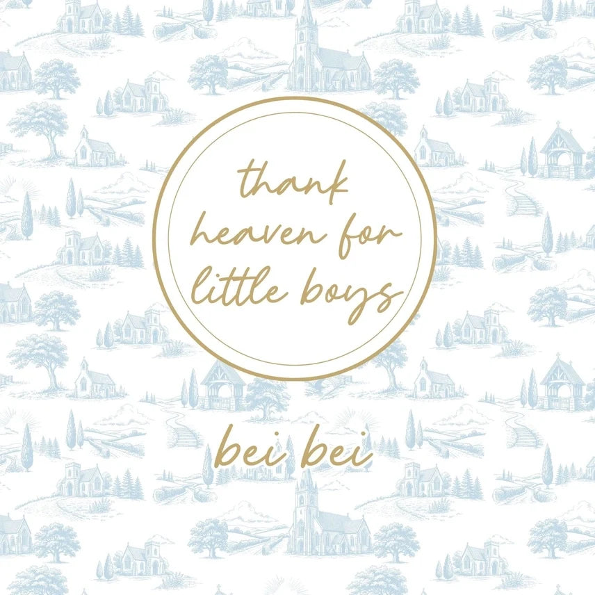 Bei Bei Thank Heaven for Little Boys Faux Fur Blanket