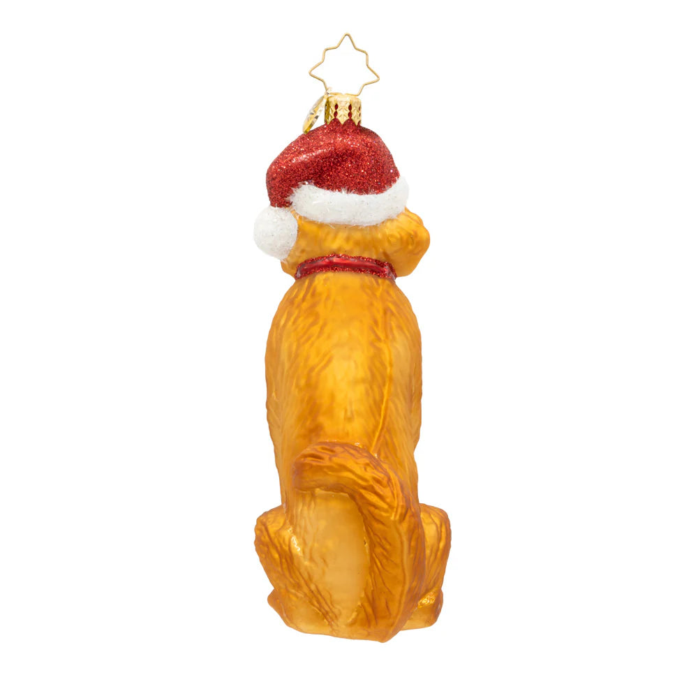 Christopher Radko Golden Paw Pal Ornament