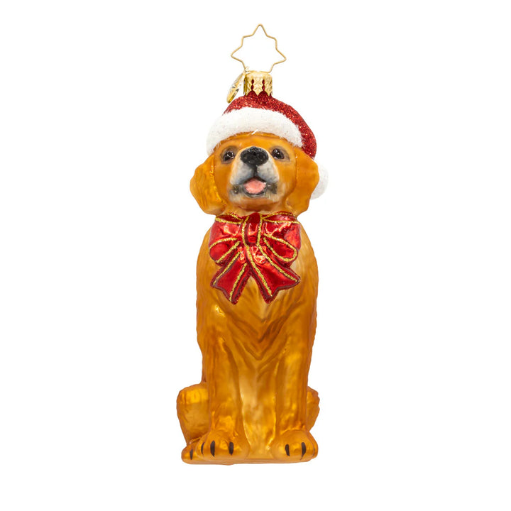 Christopher Radko Golden Paw Pal Ornament