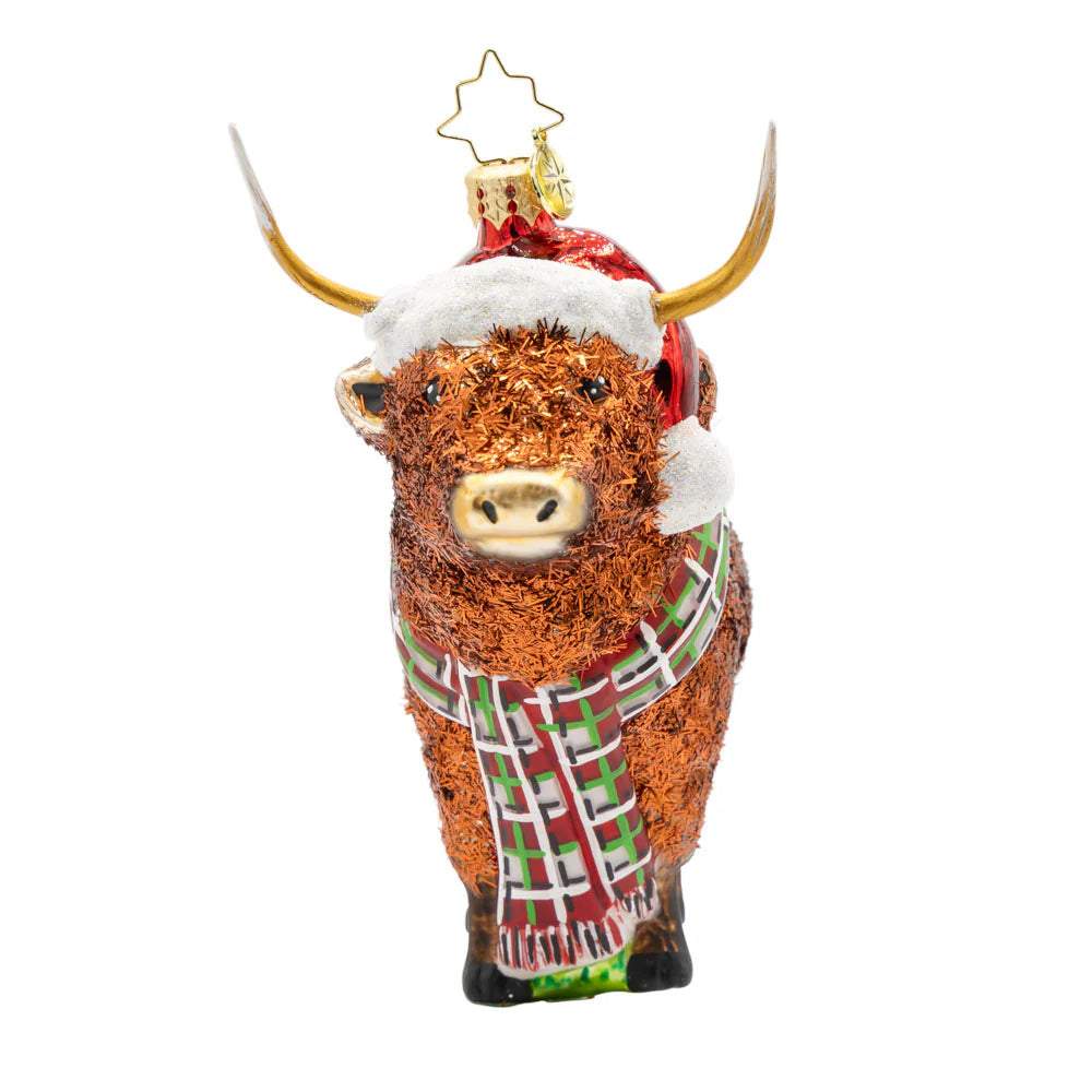 Christopher Radko Highland Holiday Ornament