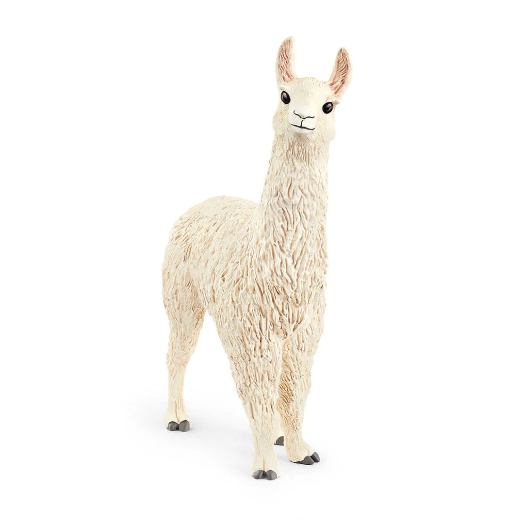 Schelich Llama