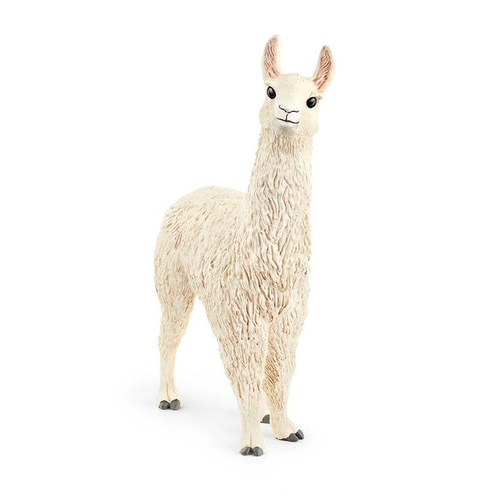Schelich Llama