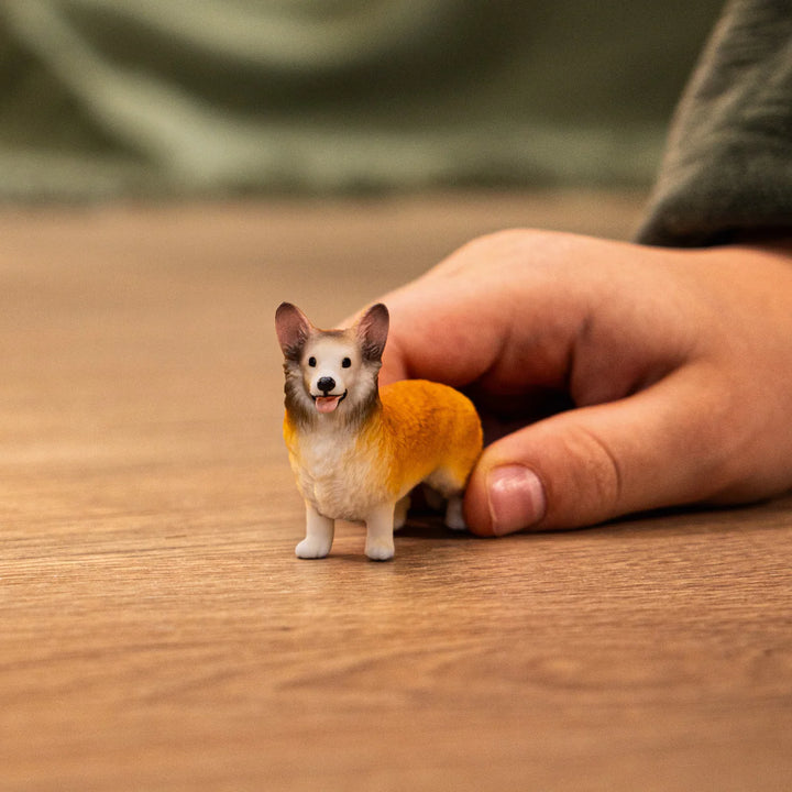 Schelich Welsh Corgi