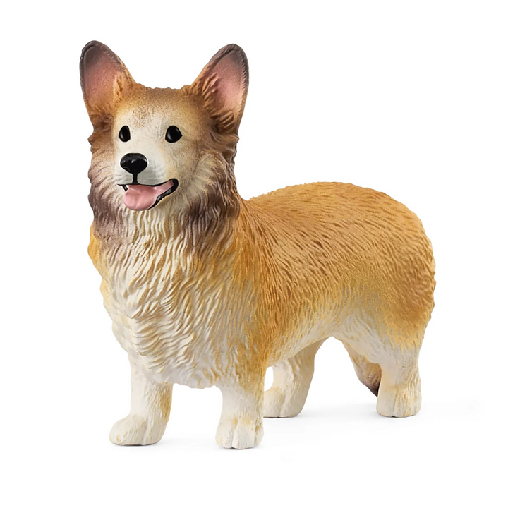Schelich Welsh Corgi