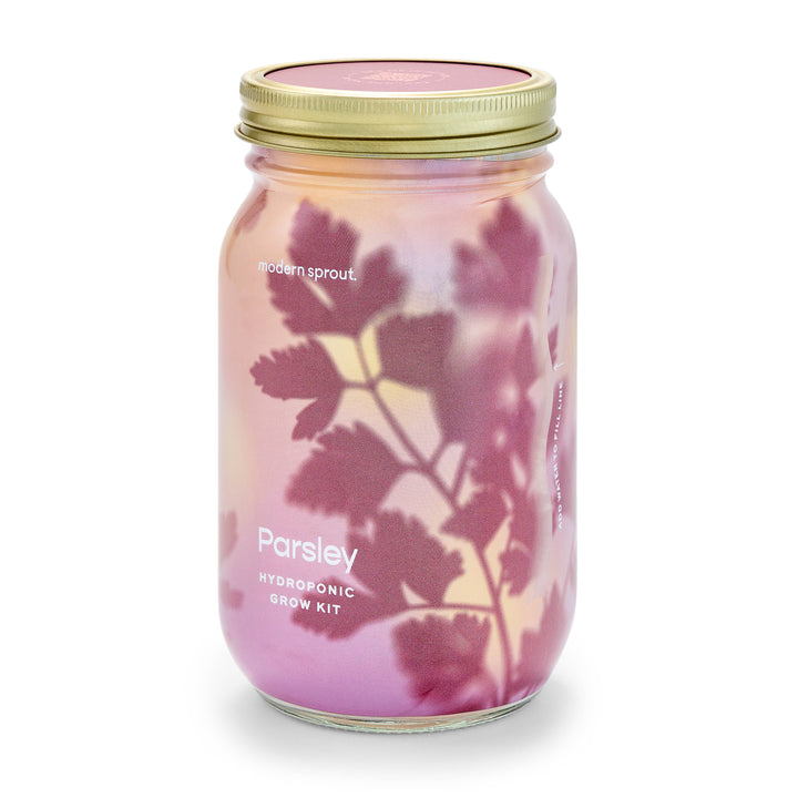 Modern Sprout Organic Herbs Gardening Jars