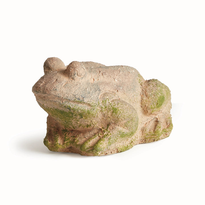 Brown Weathered Garden Frog