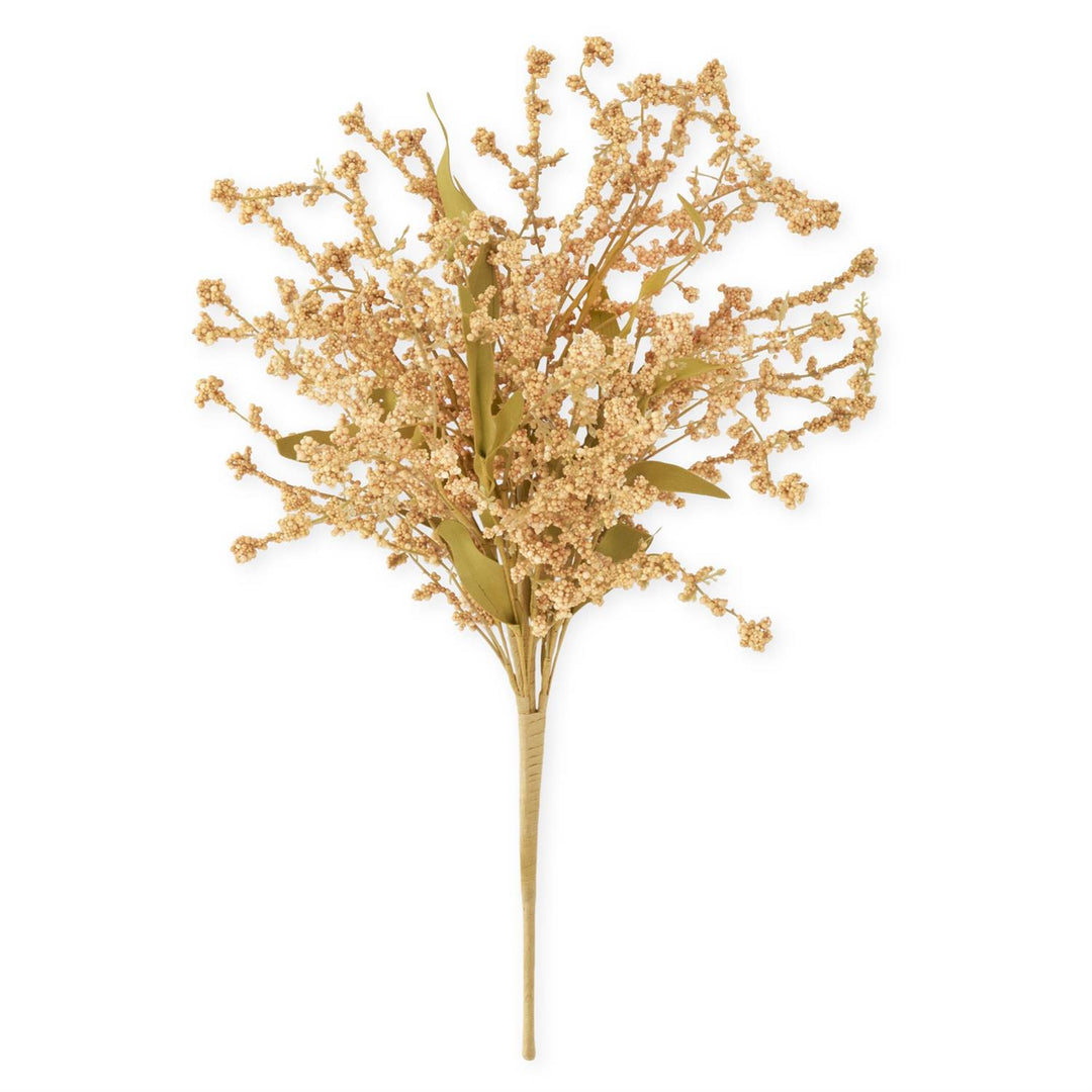 Cream Yellow Seed Berry Bush