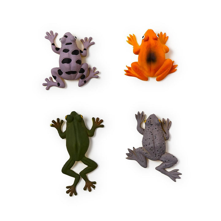 Color Changing Frog (Styles May Vary)