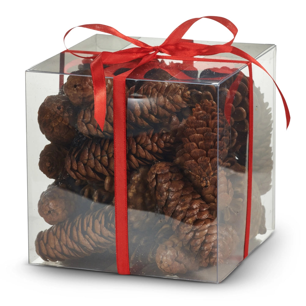 Box of Pinecones