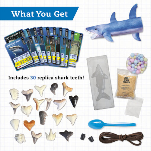 Klutz Steam Lab: Shark-tastic Teeth