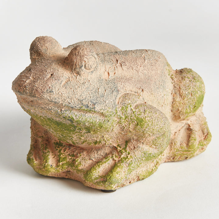 Brown Weathered Garden Frog