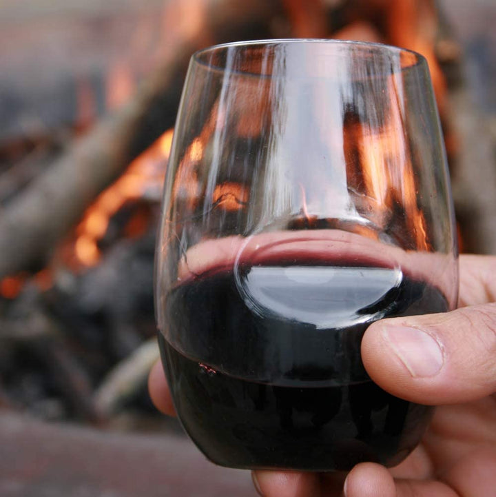 Govino Acrylic Wine Glass