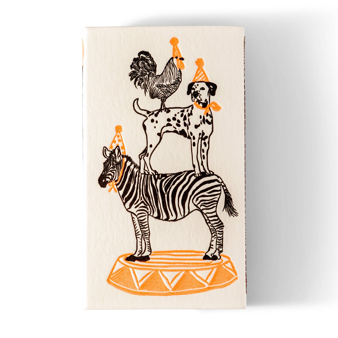 Color Box Design Party Animals Safety Matches