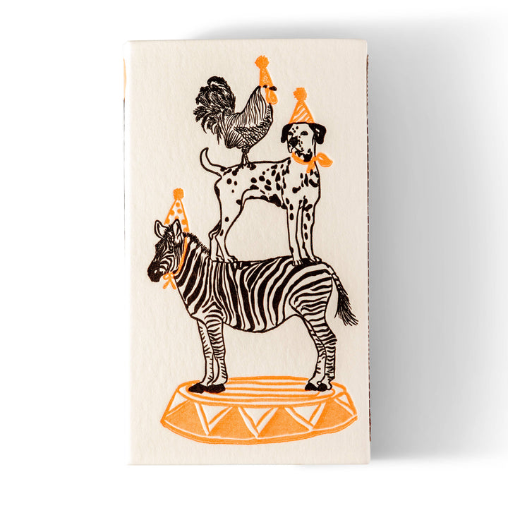 Color Box Design Party Animals Safety Matches
