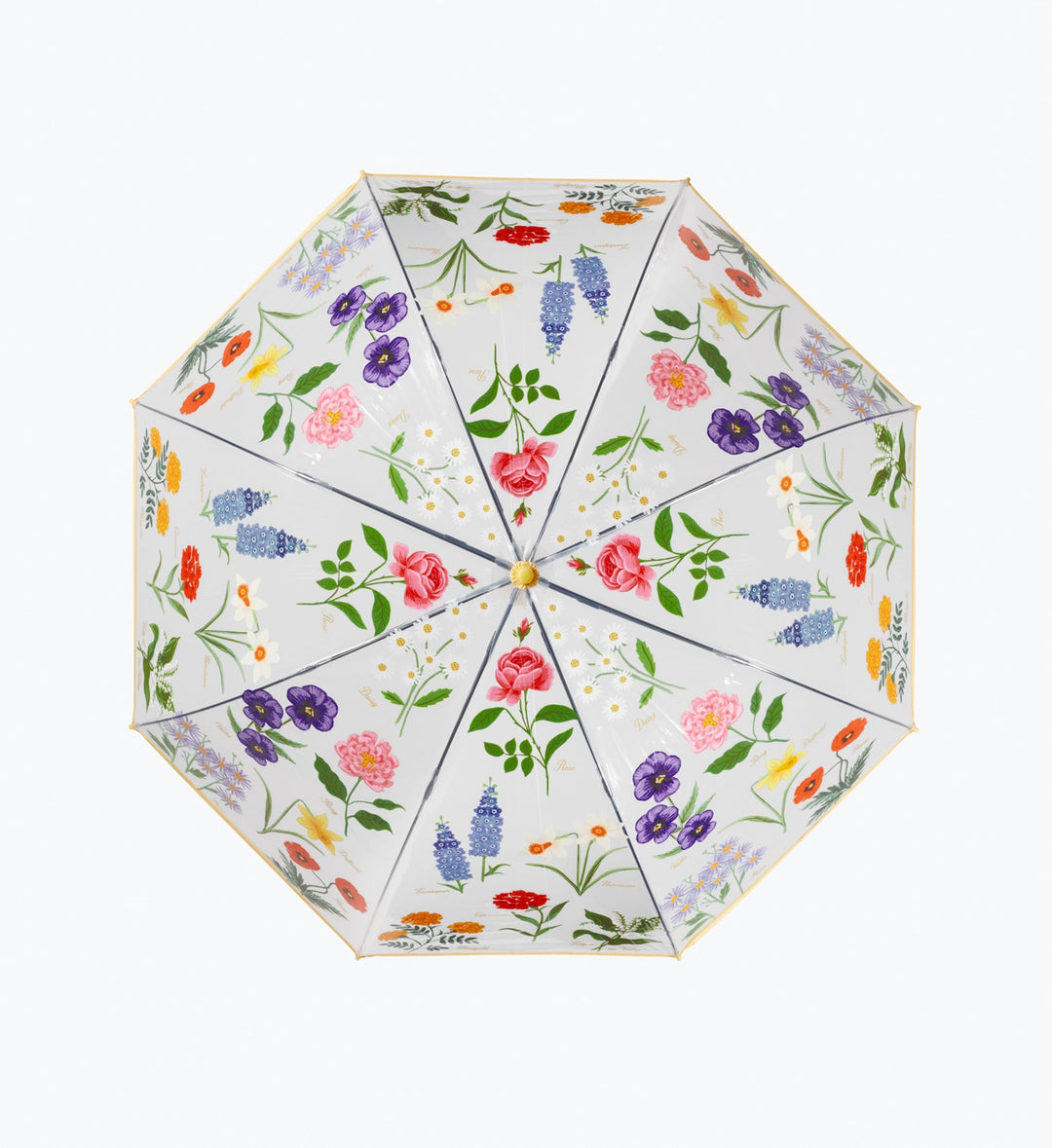 Rifle Paper Co. Umbrella