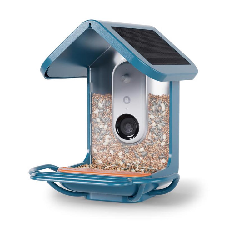 Bird Buddy Plastic Perch Extender Smart Solar Camera Bird Feeder