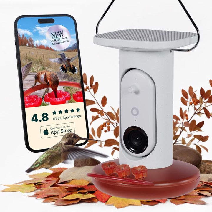 Bird Buddy Hummingbird Smart Solar Camera Bird Feeder