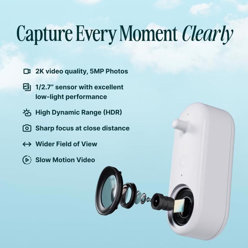 Bird Buddy Hummingbird Smart Solar Camera Bird Feeder