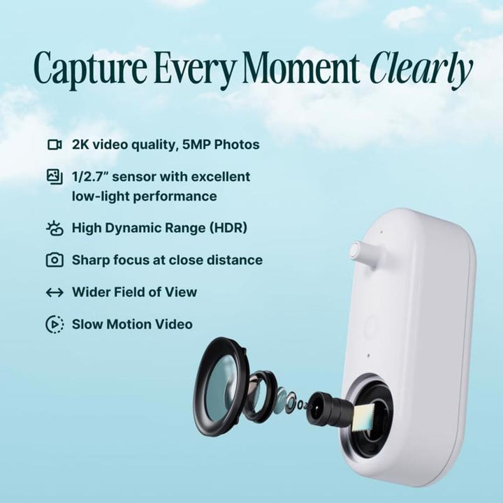 Bird Buddy Hummingbird Smart Solar Camera Bird Feeder