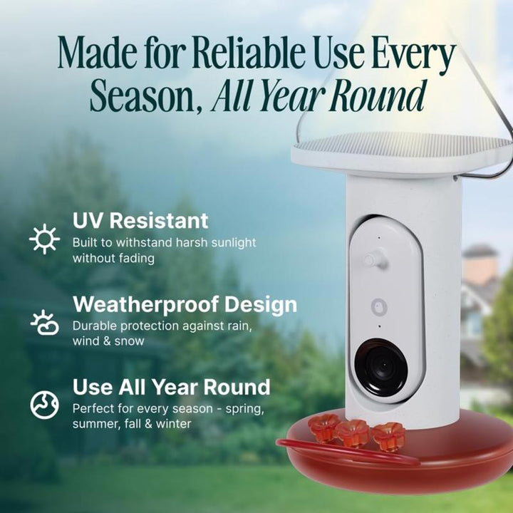 Bird Buddy Hummingbird Smart Solar Camera Bird Feeder