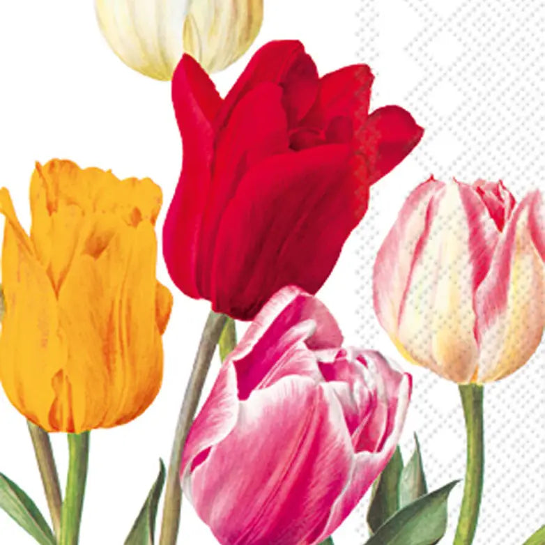 Tulips Paper Guest Towels