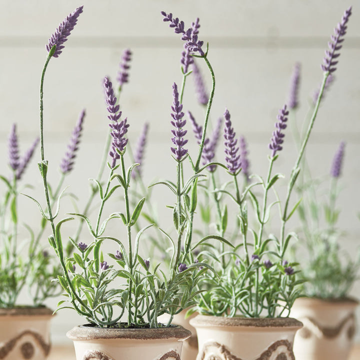 French Lavender Drop-in 13"