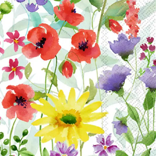 Barb Paper Guest Towels