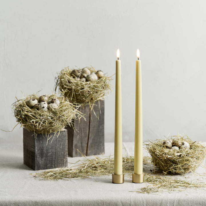 Uyuni Lighting Matte Brass Candle Holder