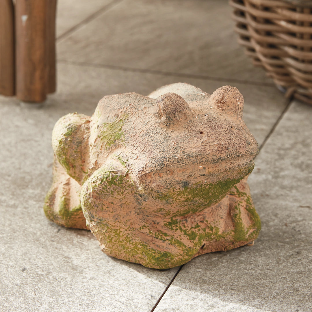 Brown Weathered Garden Frog