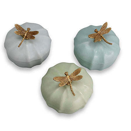 Scalloped Dragonfly Trinket Box