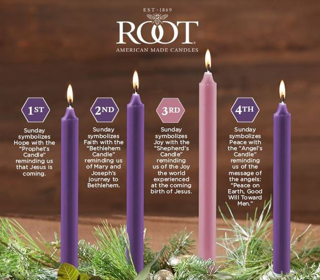 Root Candles Advent Candle Set