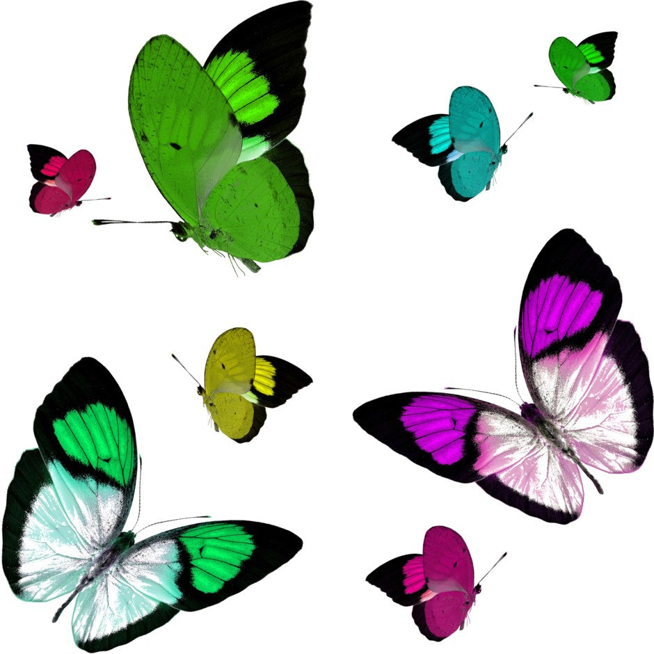 Nicolette Mayer Collection Acrylic Candy Dish