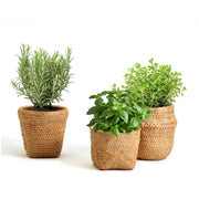 Basket Pattern Planter with Drainage Hole - Assorted