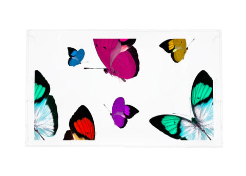 Nicolette Mayer - Acrylic Vanity Tray - Butterflies