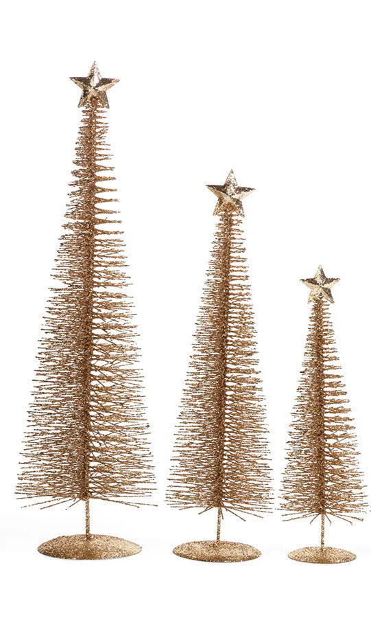 Treasure Mountain Tree