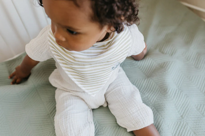 Copper Pearl Baby Bandana Bibs Rex