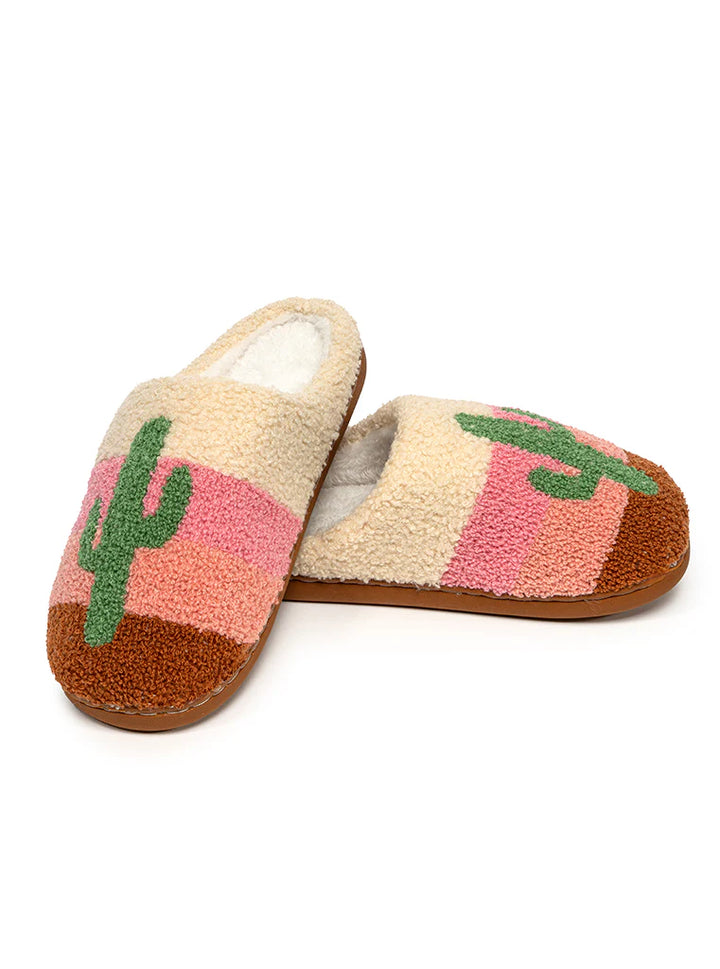 Living Royal Slippers Cactus
