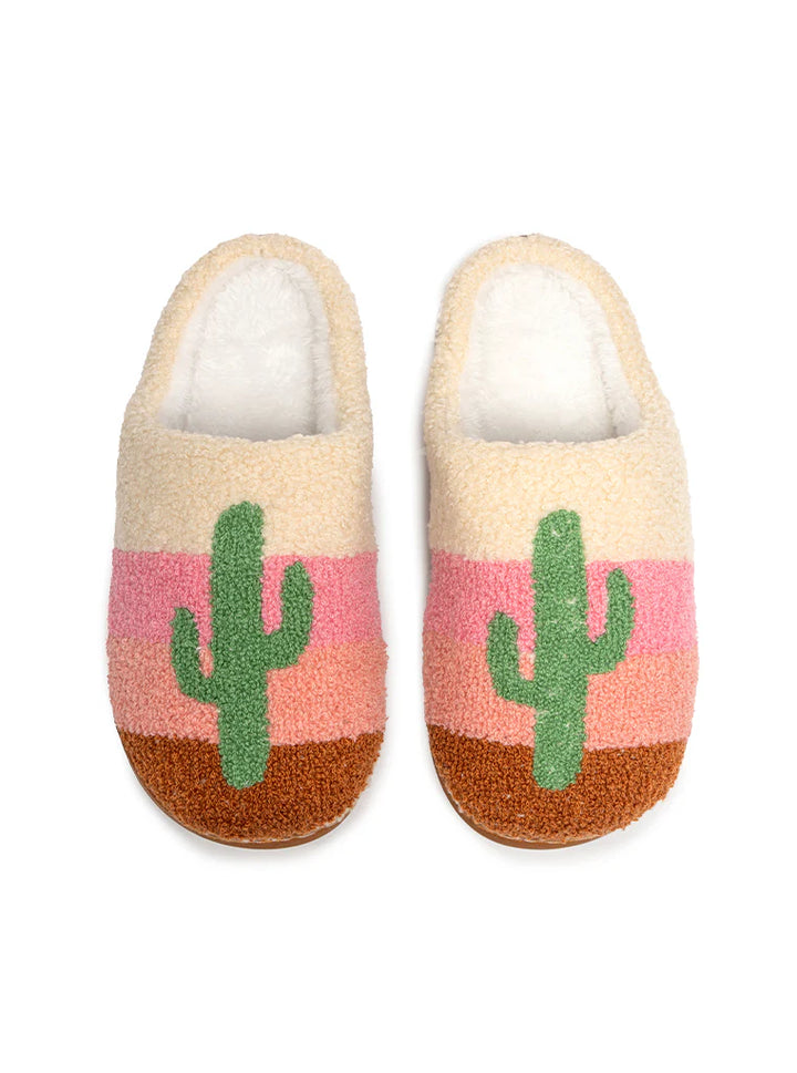 Living Royal Slippers Cactus