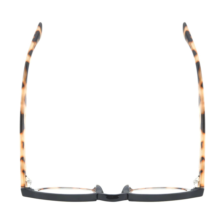 Ryan Simkhai Eyeshop Dan Readers Black Tortoise