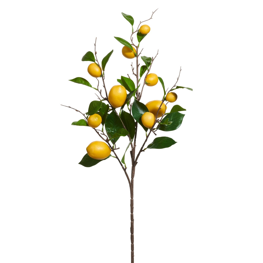 Lemon Spray – Sunset & Co.