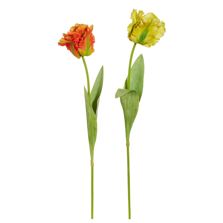 Real Touch Parrot Tulip Stem