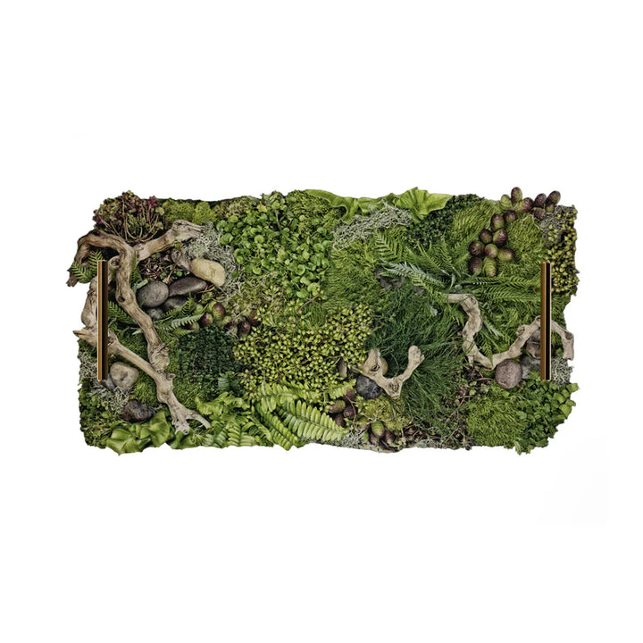 Barloga Forest Floor Tray