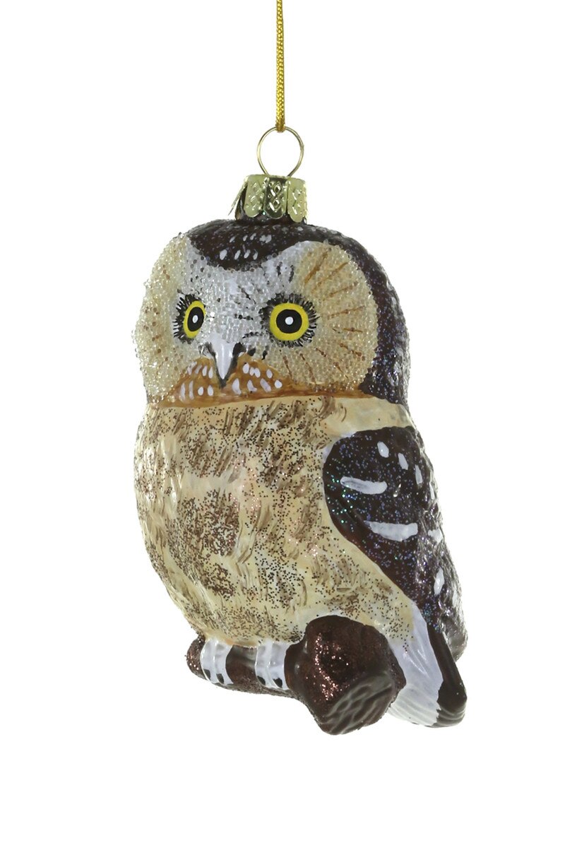 Cody Foster Saw Whet Owl Ornament