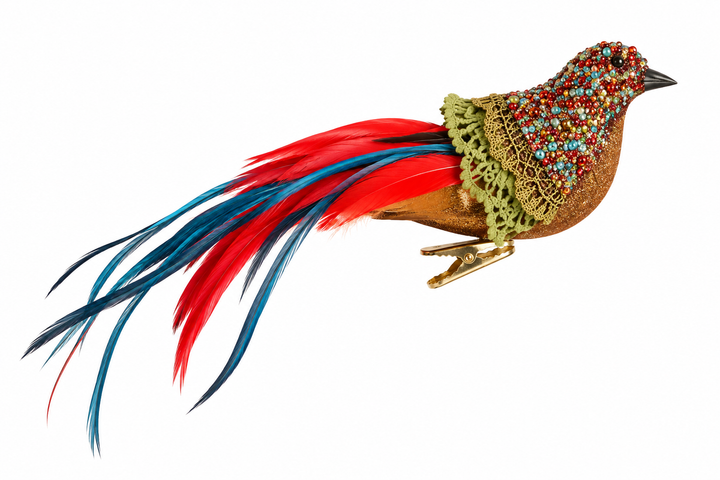 Rainbow Bird Ornament