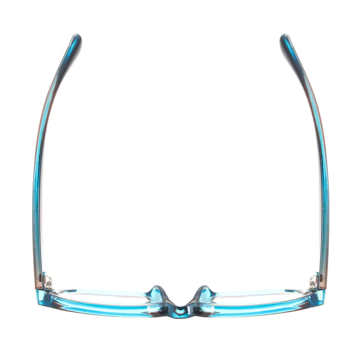 Ryan Simkhai Eyeshop Grace Readers Brown & Transparent Blue