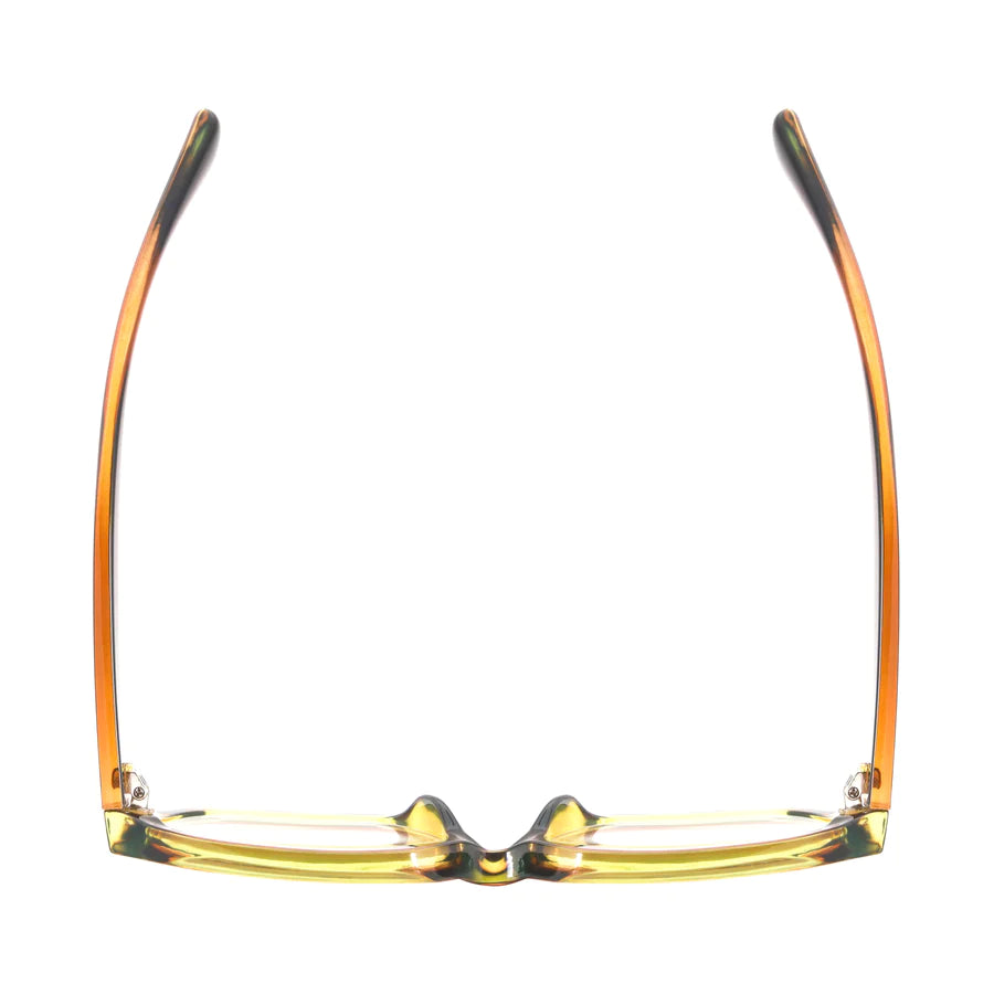 Ryan Simkhai Eyeshop Grace Readers Brown & Transparent Light Green