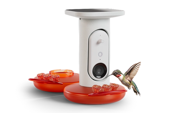 Bird Buddy Hummingbird Smart Solar Camera Bird Feeder