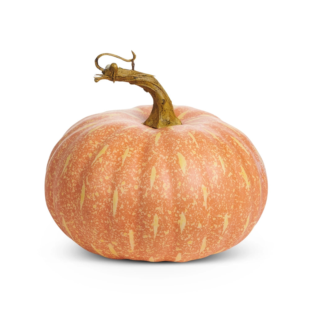 Harvest Pumpkin