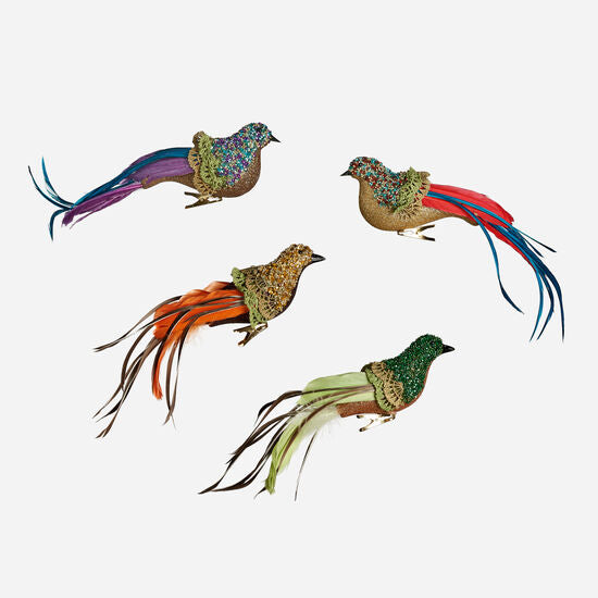 Rainbow Bird Ornament