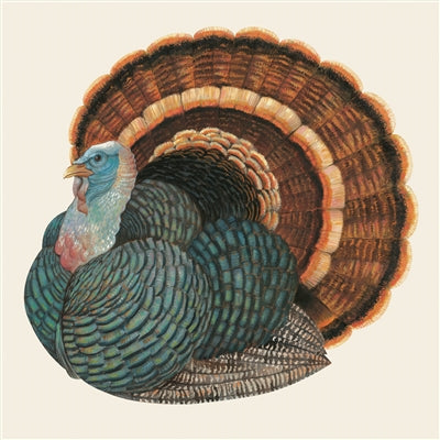 Hester & Cook Heritage Turkey Paper Napkins